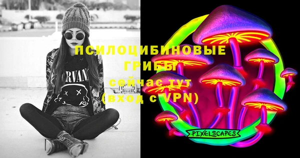 мет Алексин