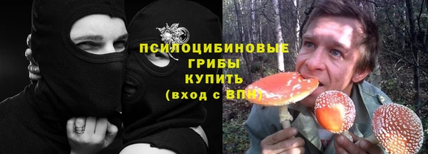 Альфа ПВП Алзамай