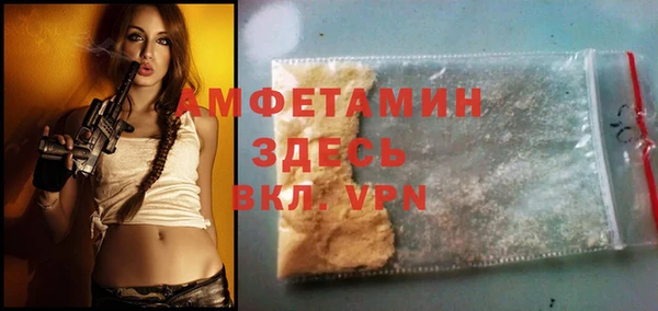 мет Алексин