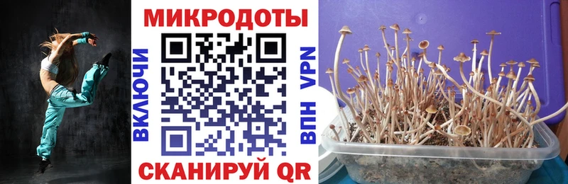 blacksprut маркетплейс  Тосно  Псилоцибиновые грибы мухоморы  где найти наркотики 