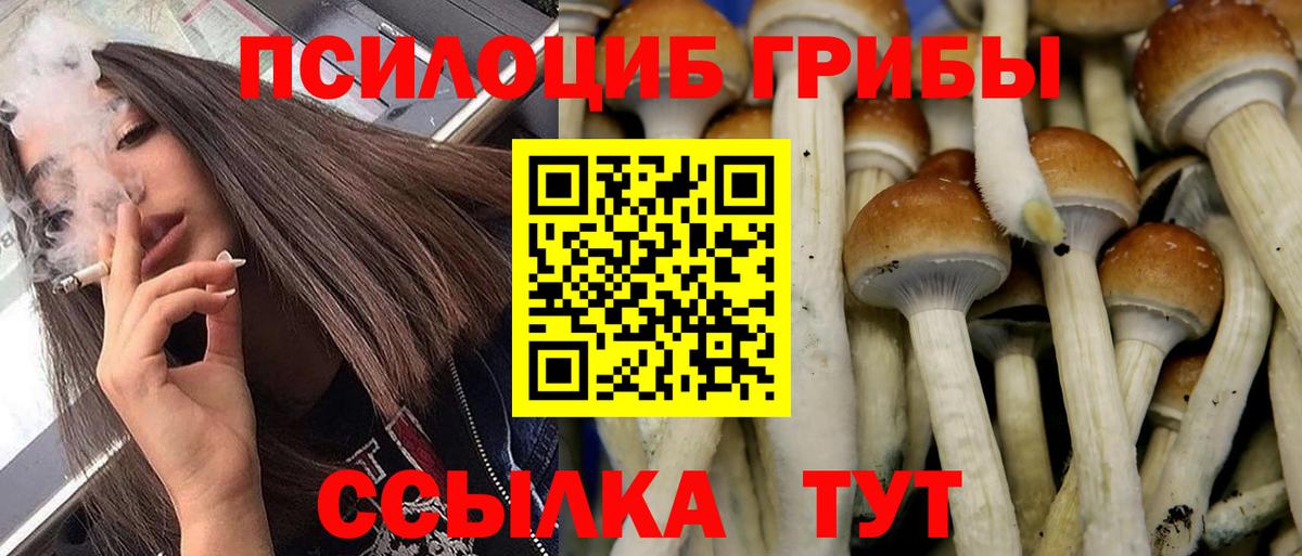 Галлюциногенные грибы прущие грибы Тосно