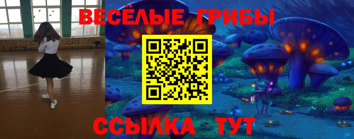 Тосно  Псилоцибиновые грибы мицелий  Вход с VPN 